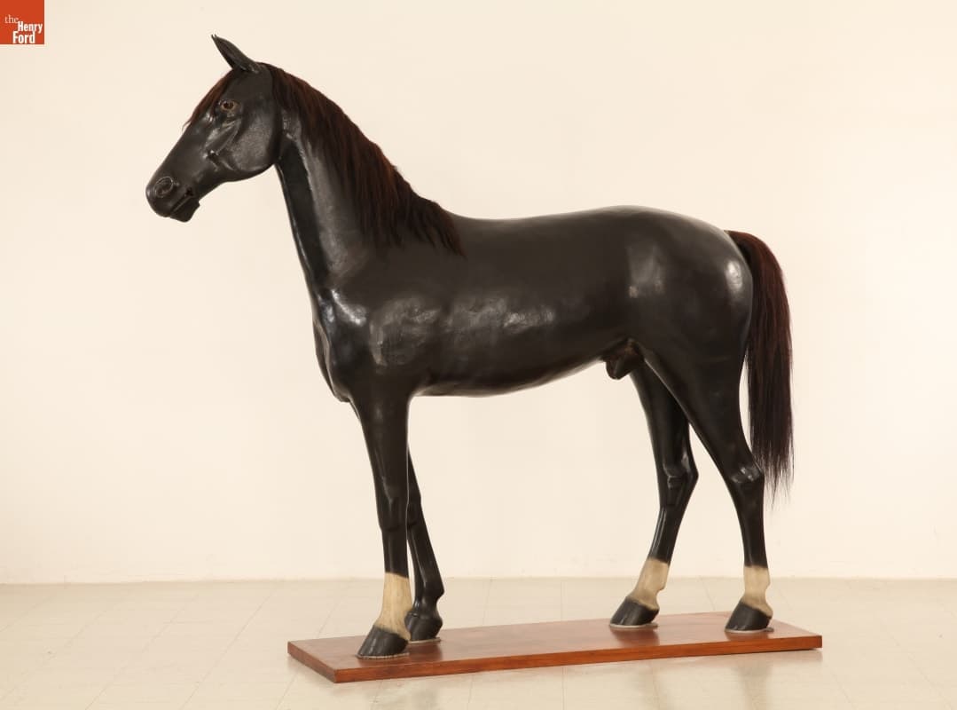 Horse Mannequin, 1895-1910