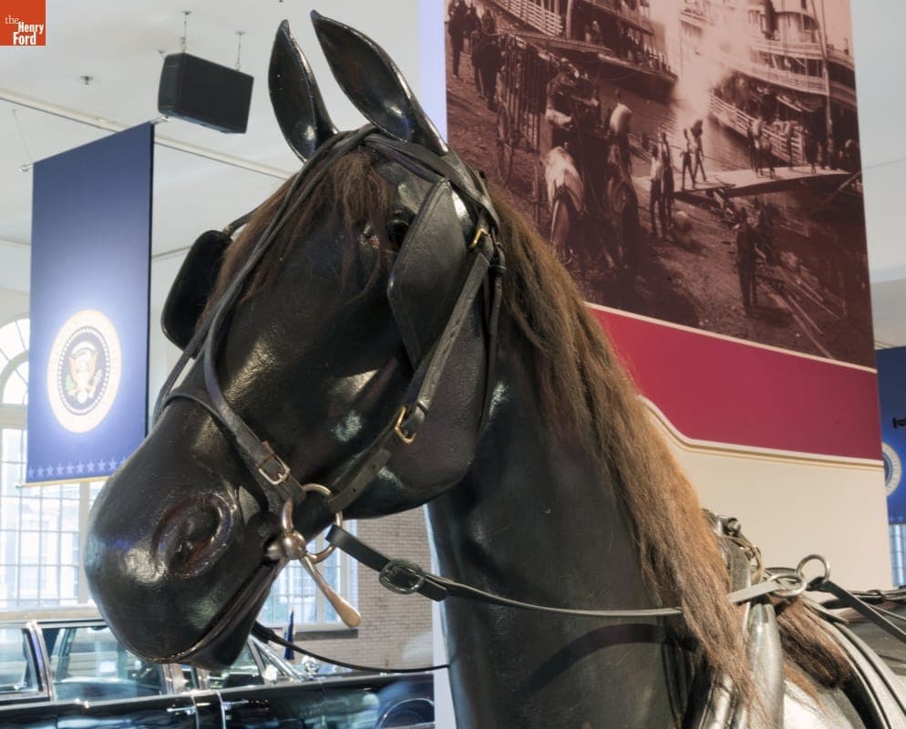 Single Buggy Harness