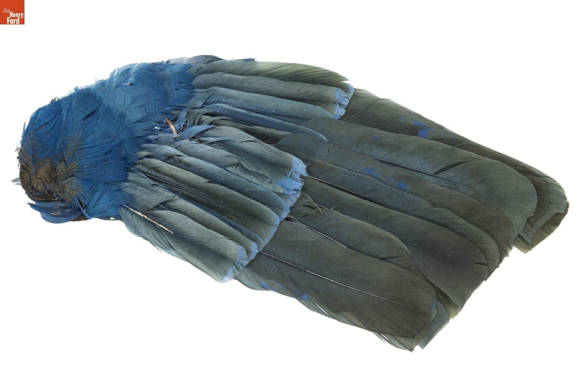 Millinery Feathers, 1900-1915
