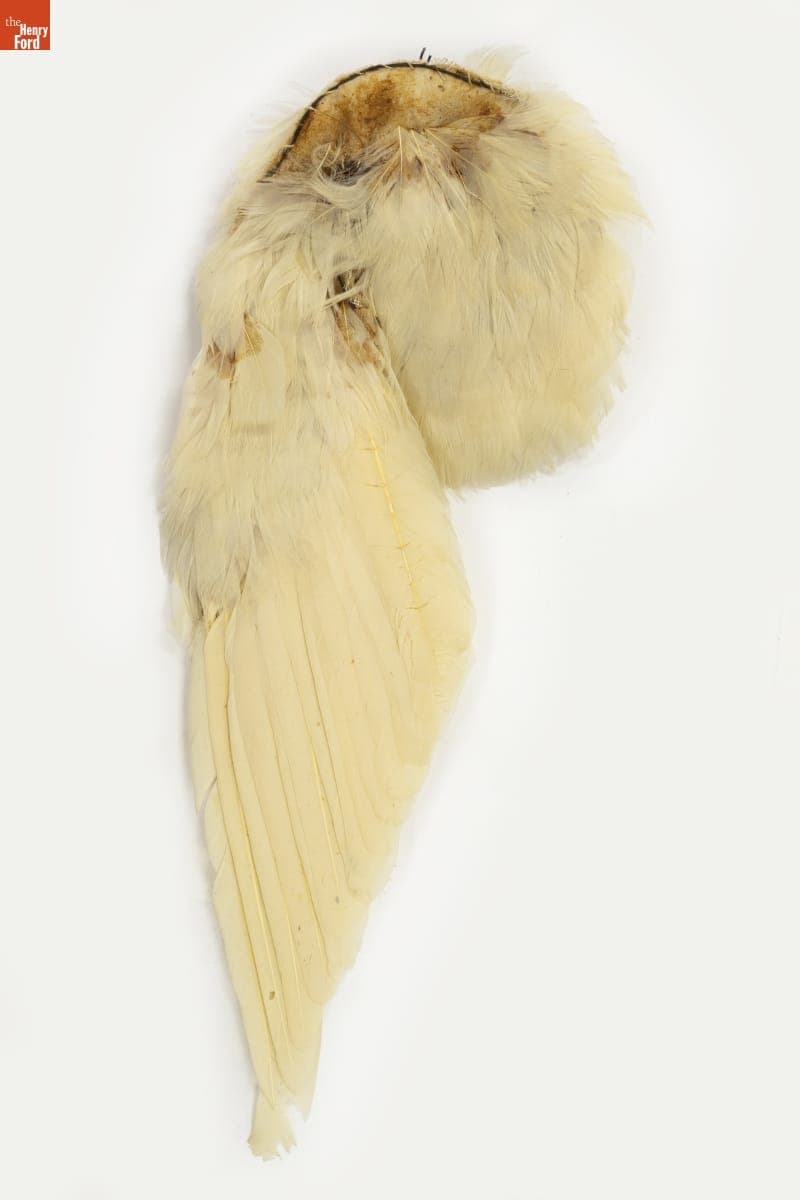 Millinery Feathers, 1900-1915