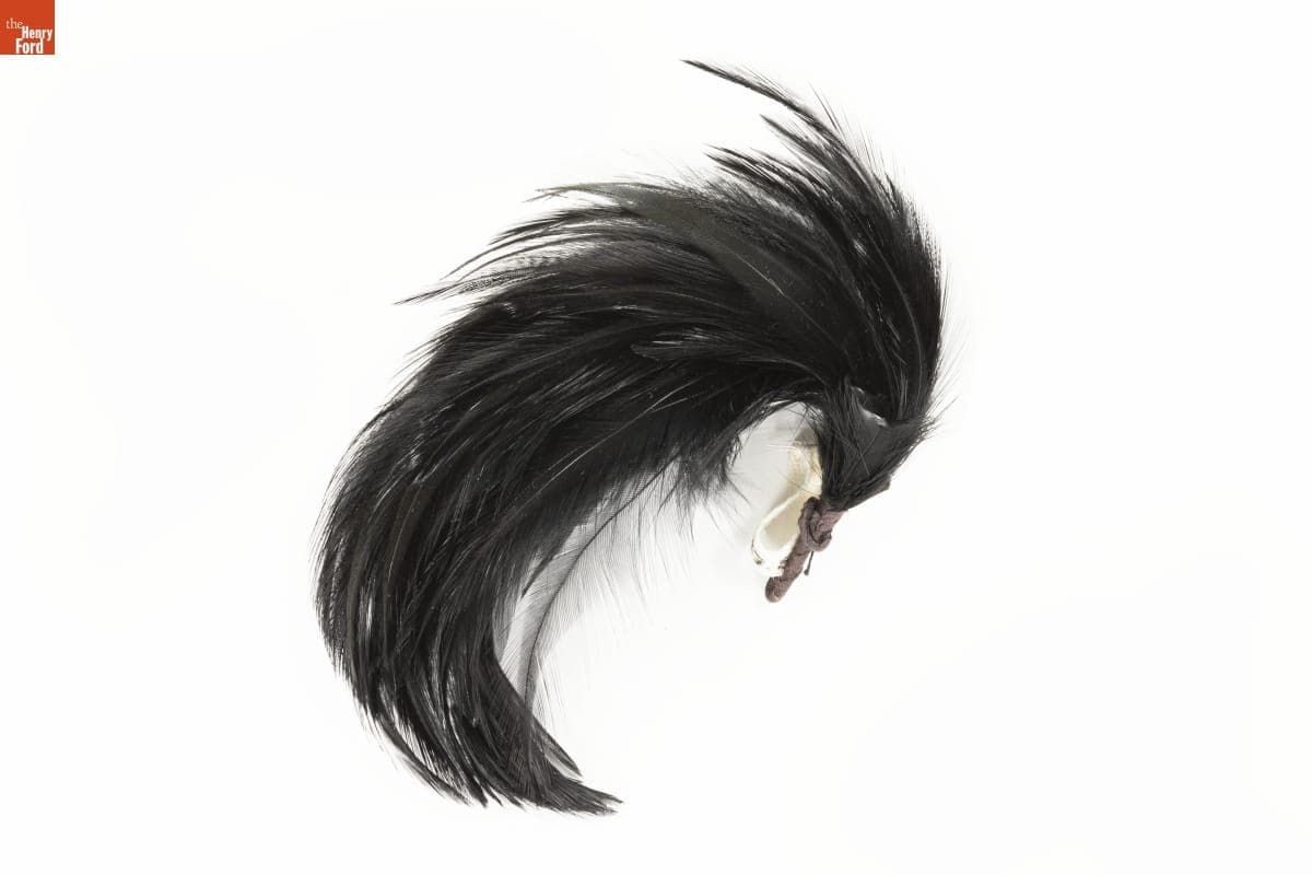 Millinery Feather, 1900-1915