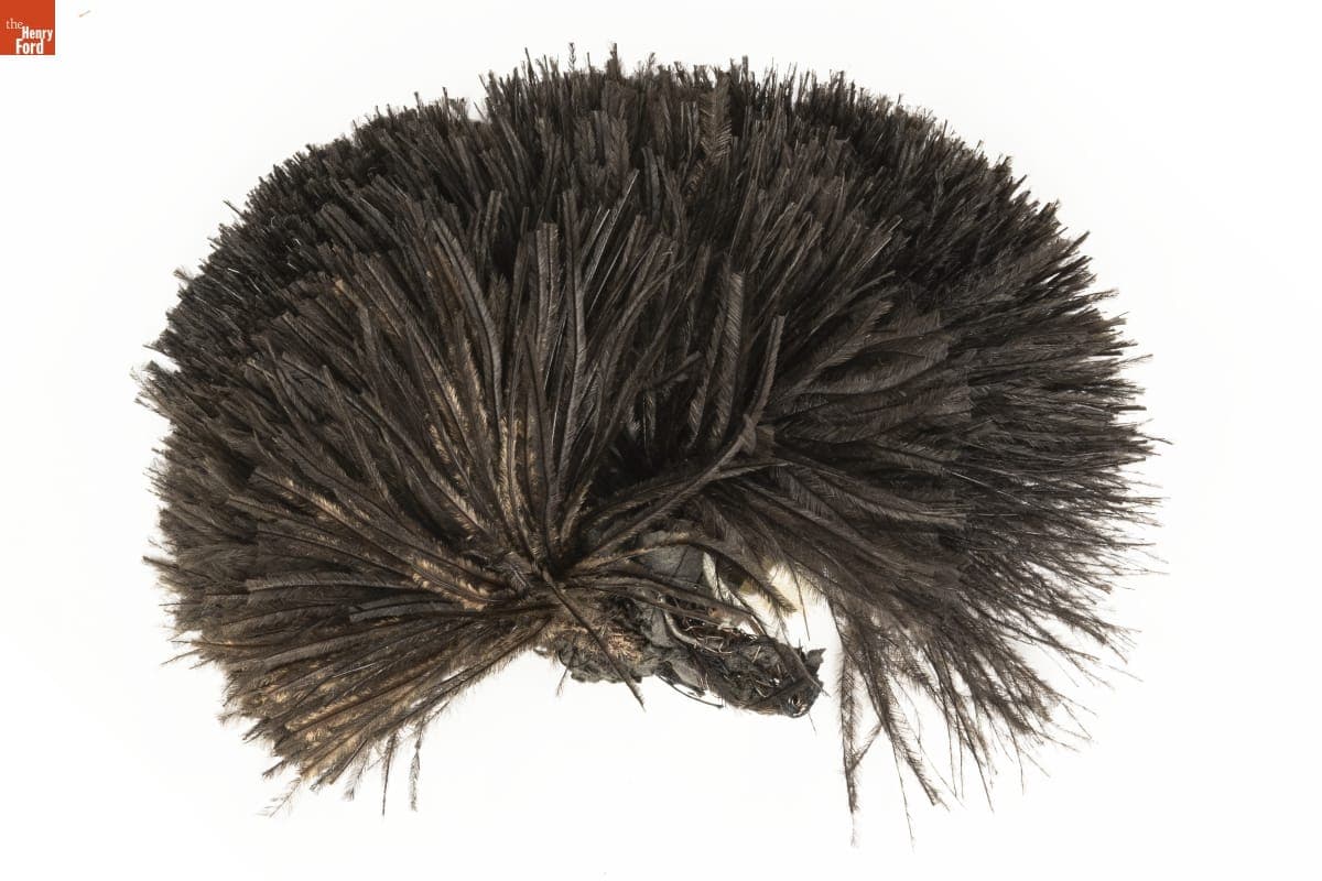 Millinery Feathers, 1900-1915
