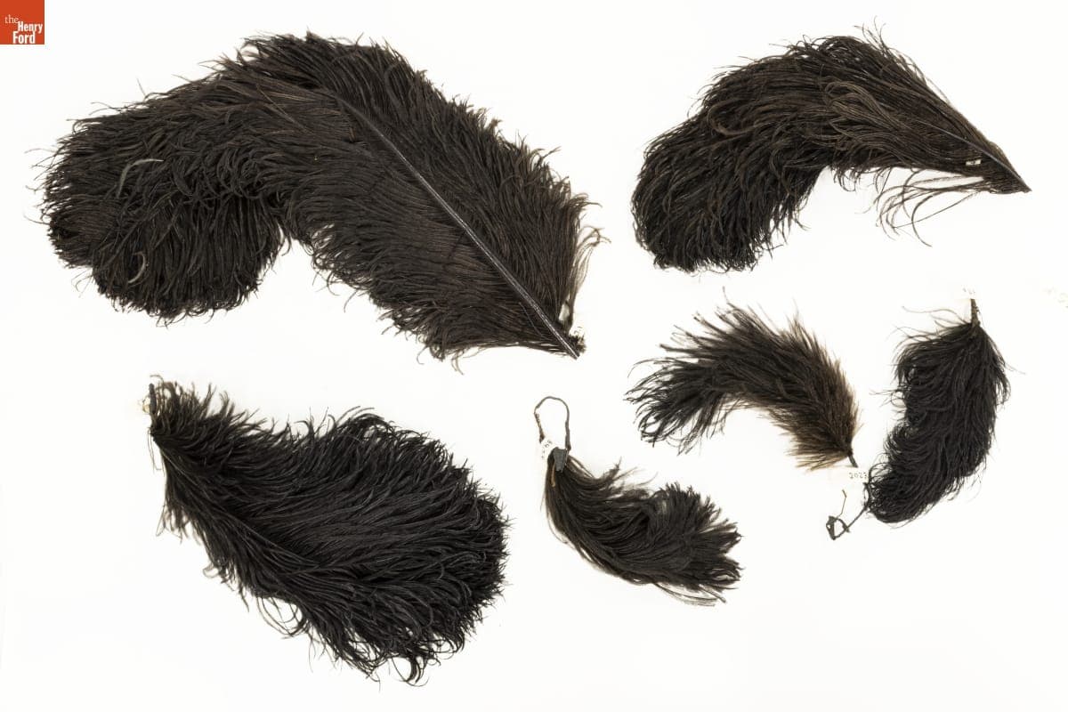 Millinery Ostrich Feathers, 1900-1915