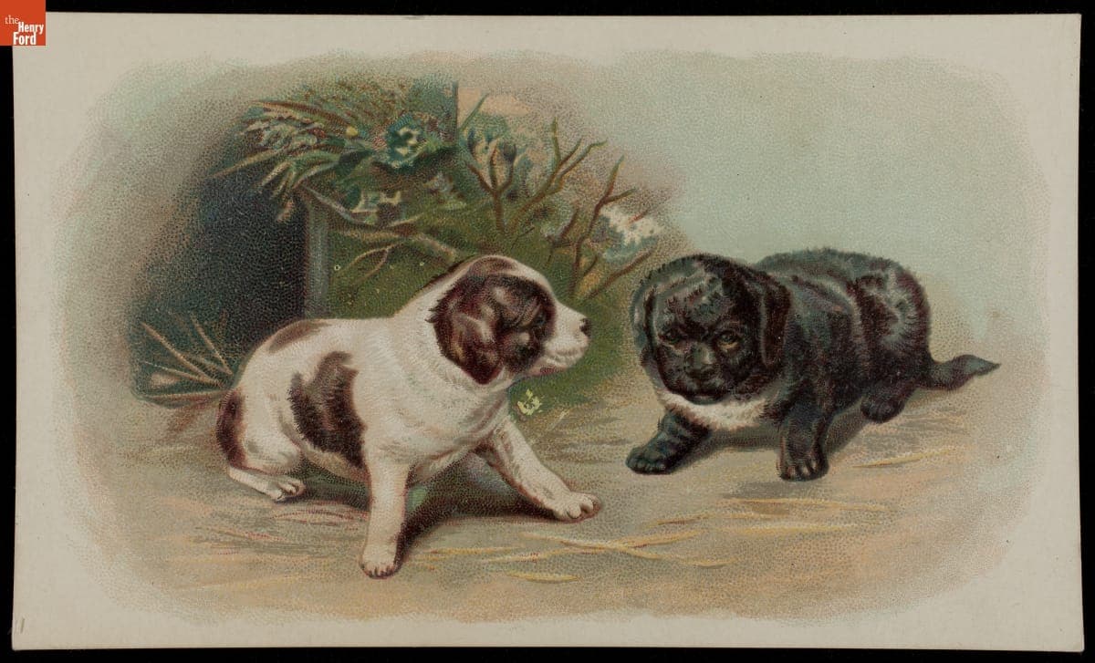 Trade Card for Ariosa Coffee, Arbuckle Bros., 1880-1900