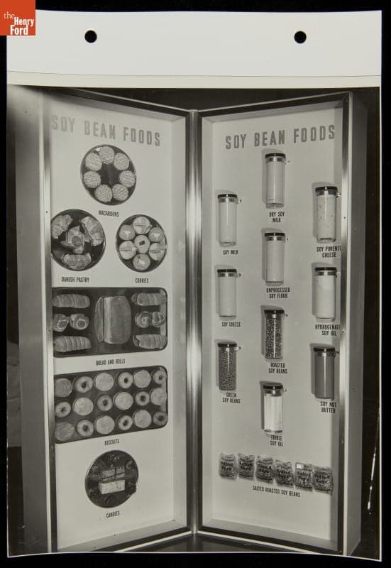 Soybean Exhibit in Industrial Farm Display, Ford Exposition, New York World's Fair, 1940