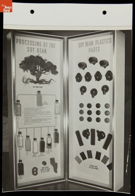 Soybean Exhibit in Industrial Farm Display, Ford Exposition, New York World's Fair, 1940