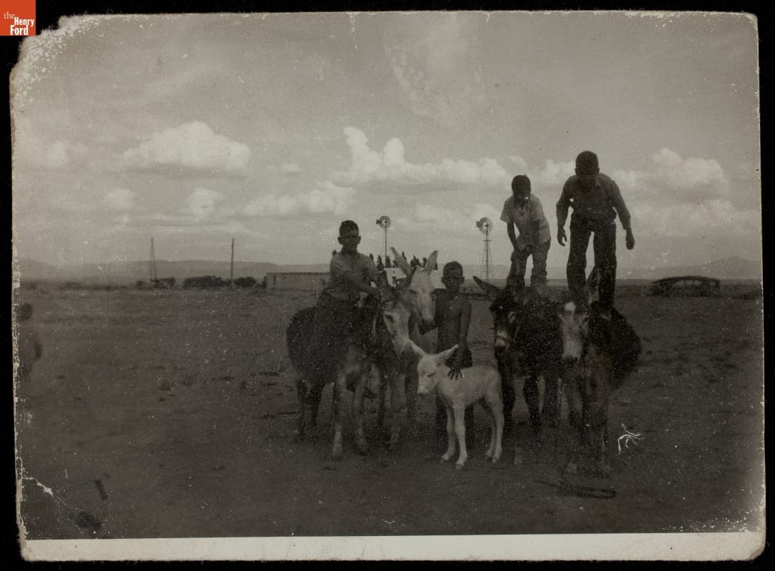 Four Unser Brothers with their Donkeys, 1945-1950