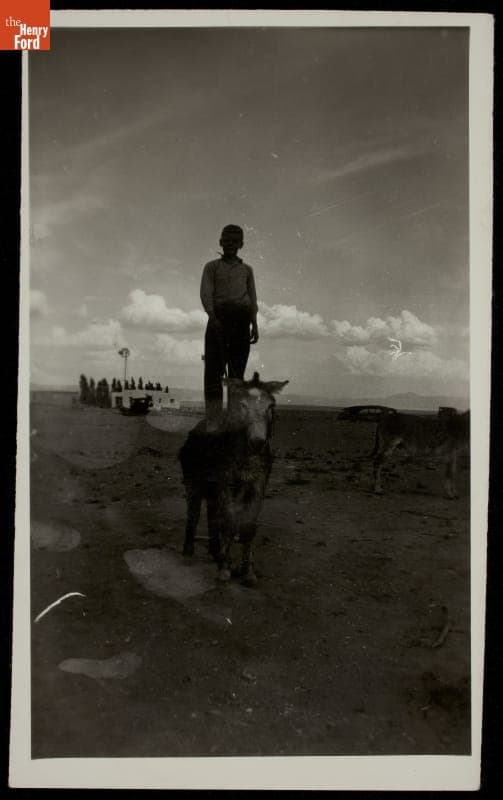 Bobby Unser Collection--Photographs--Family--Burro, Donkey, Dog--Item15