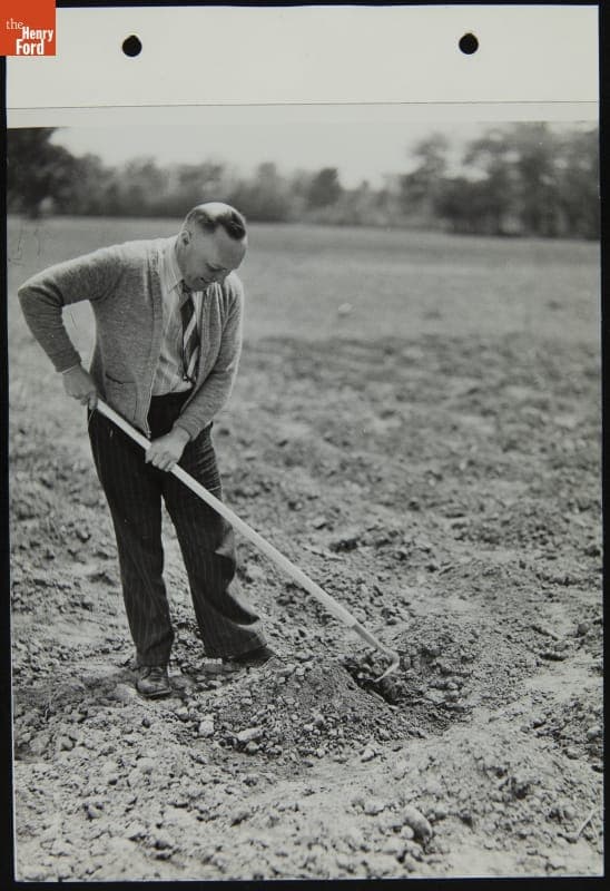 Man Preparing Ground for Victory Garden, May 1944