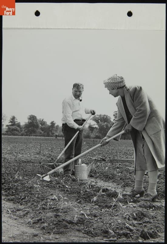 Man and Woman Preparing Ground for Victory Garden, May 1944