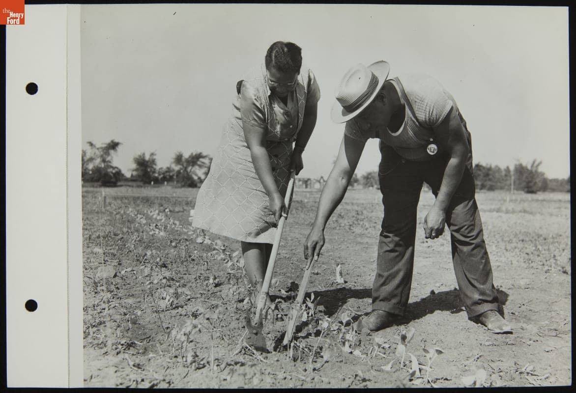 Ford Employees Tending Victory Garden, June 1944
