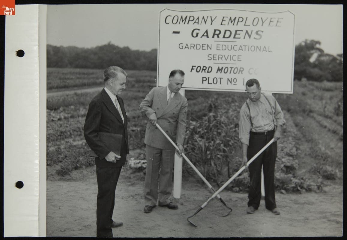 Ford Motor Company Employee Victory Garden Plot No. 1, Garden Educational Service, July 1944