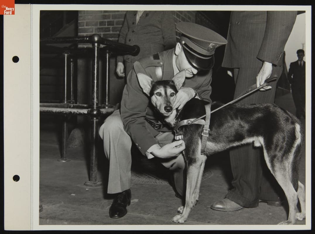 Checking ID Badge of Ford Employee's Service Dog "Blackie," October 1942