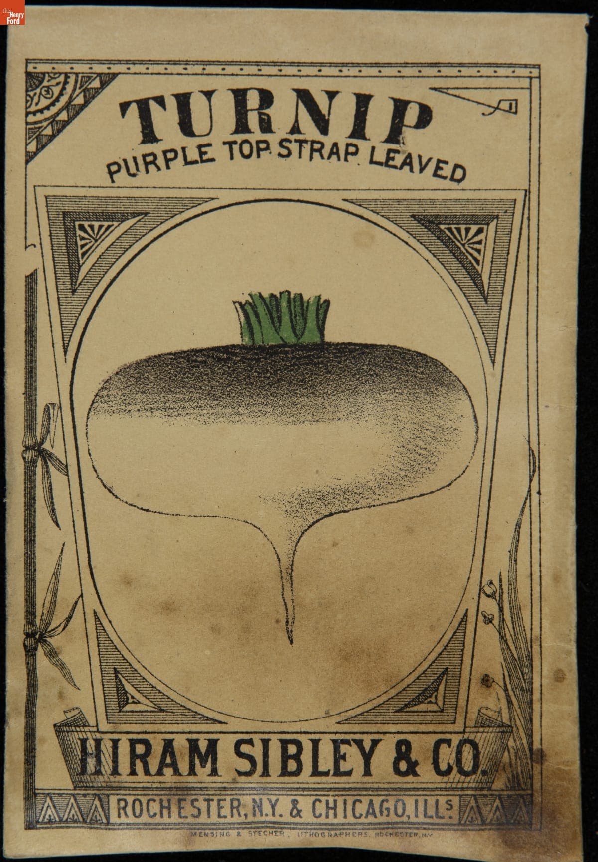 Hiram Sibley & Co. "Turnip Purple Top Strap Leaved" Seed Packet, Used in the C.W. Barnes Store, 1882-1888