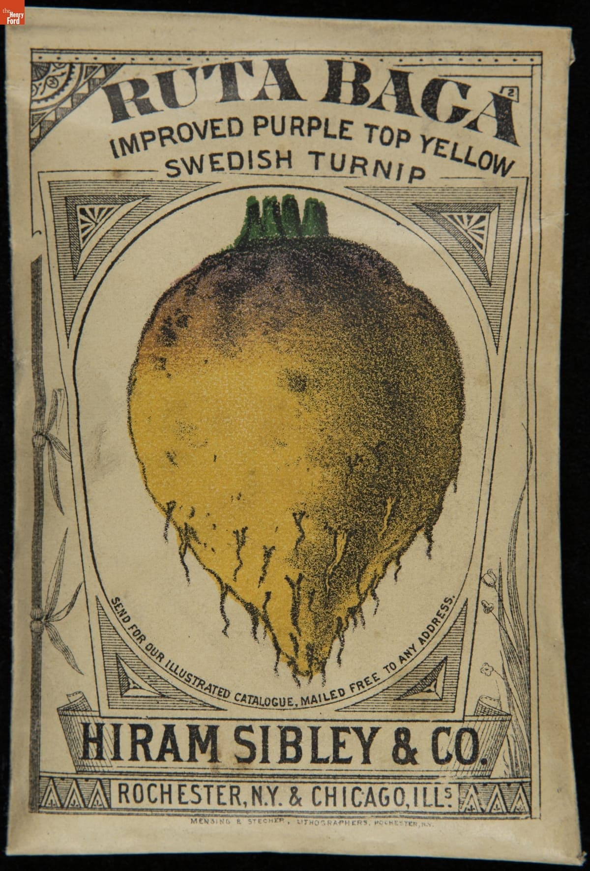Hiram Sibley & Co. "Rutabaga Improved Purple Top Yellow Swedish Turnip" Seed Packet, Used in the C.W. Barnes Store, 1882-1888