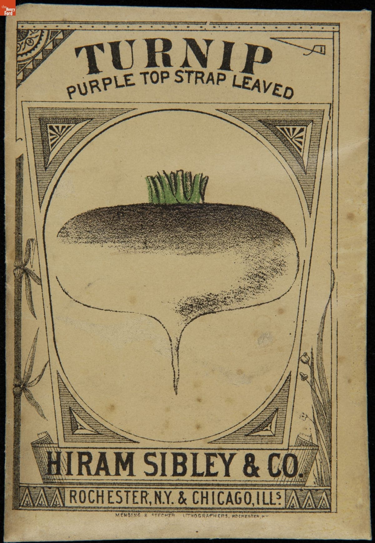 Hiram Sibley & Co. "Turnip Purple Top Strap Leaved" Seed Packet, Used in the C.W. Barnes Store, 1882-1888