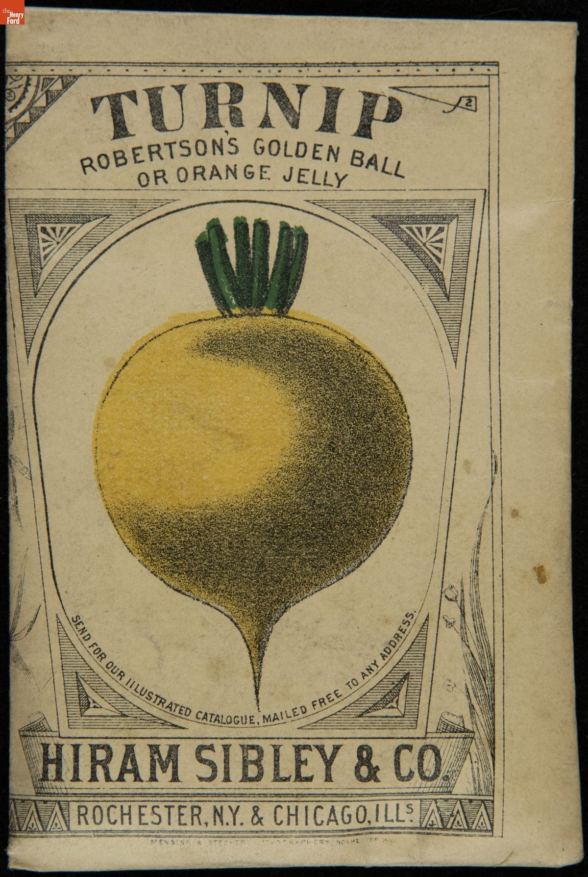 Hiram Sibley & Co. "Turnip Robertson's Golden Ball or Orange Jelly" Seed Packet, Used in the C.W. Barnes Store, 1882-1888