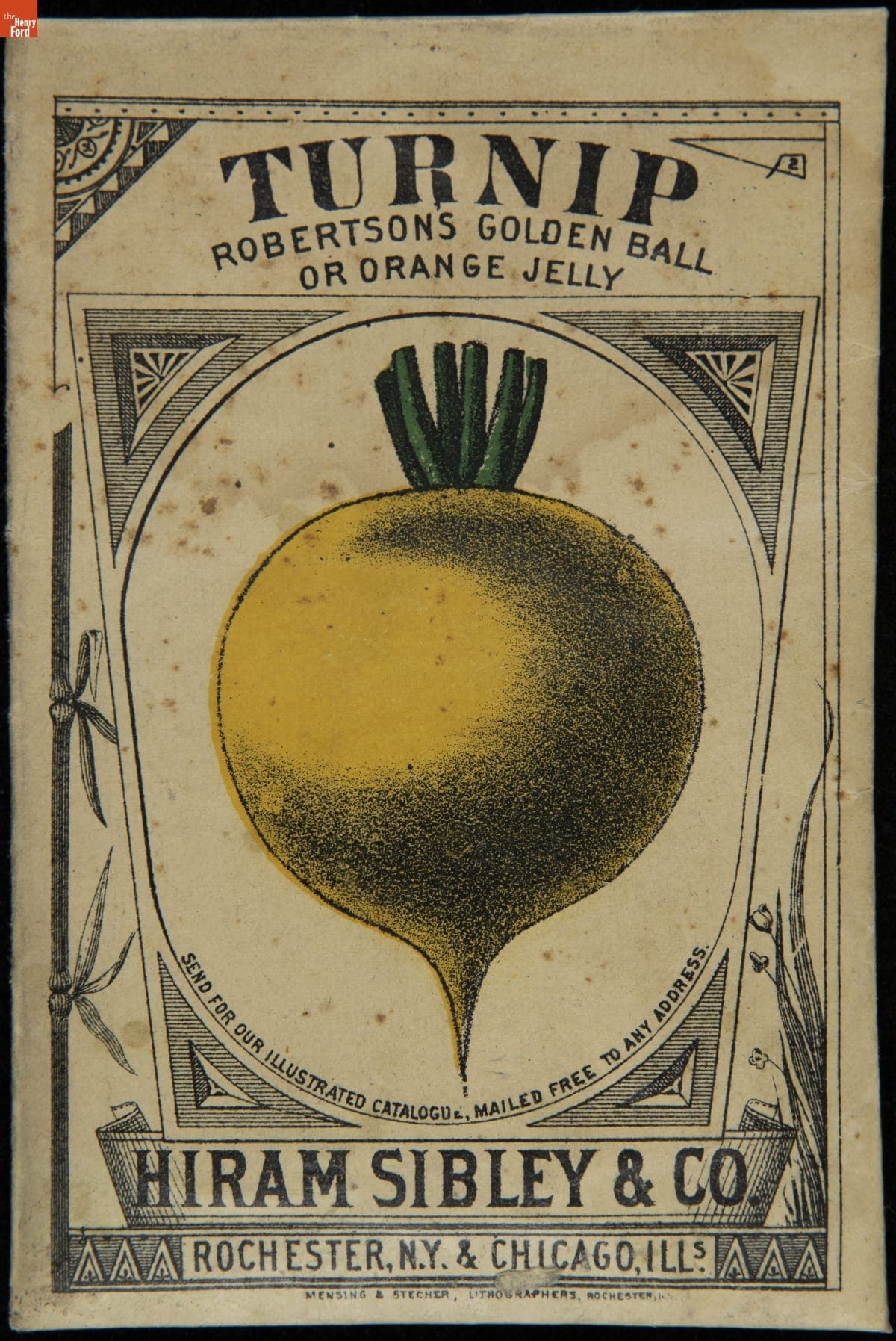 Hiram Sibley & Co. "Turnip Robertson's Golden Ball or Orange Jelly" Seed Packet, Used in the C.W. Barnes Store, 1882-1888