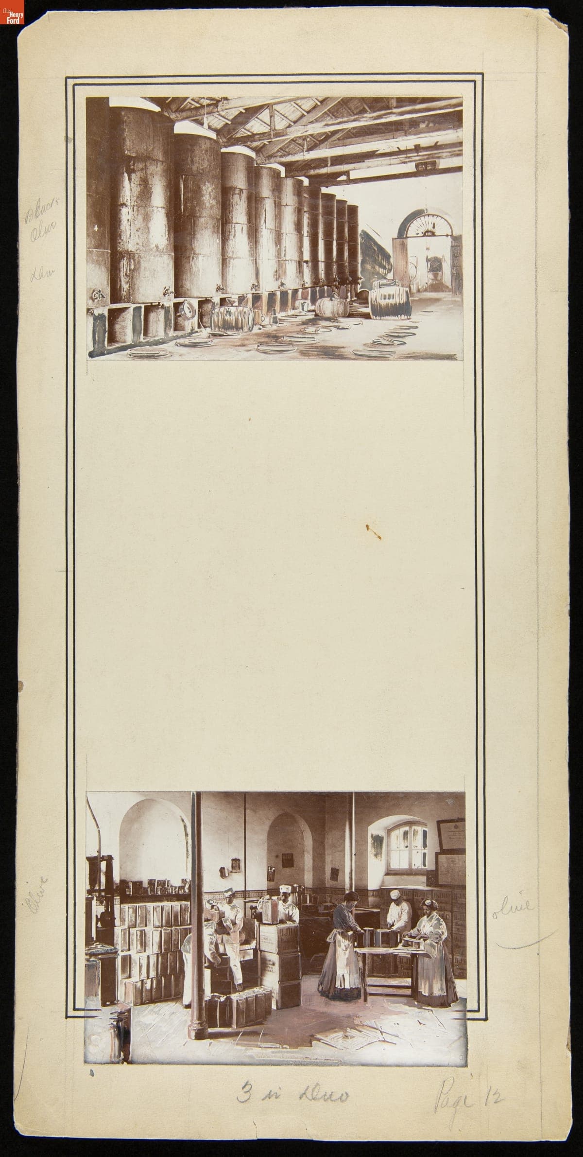Advertising Layout Photographs of Heinz Employees Packing Olive Oil Products, circa 1909
