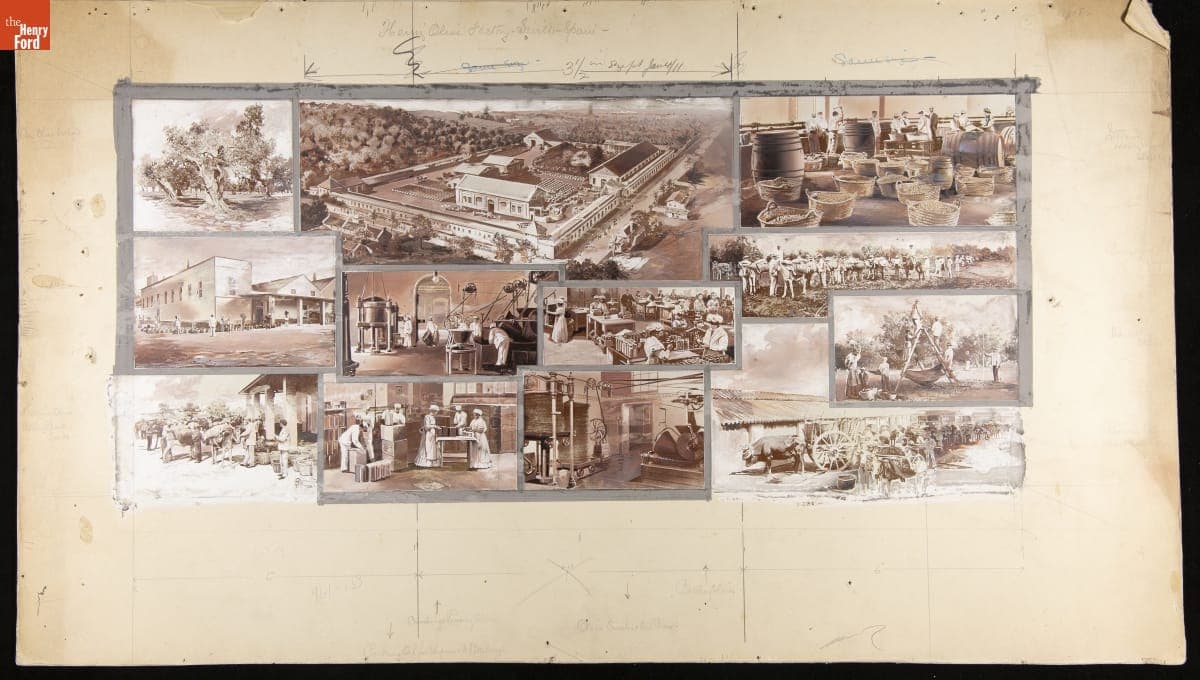 Photomontage Showing Heinz Employees Processing Olives at the Heinz Factory in Seville, Spain, June 17, 1909