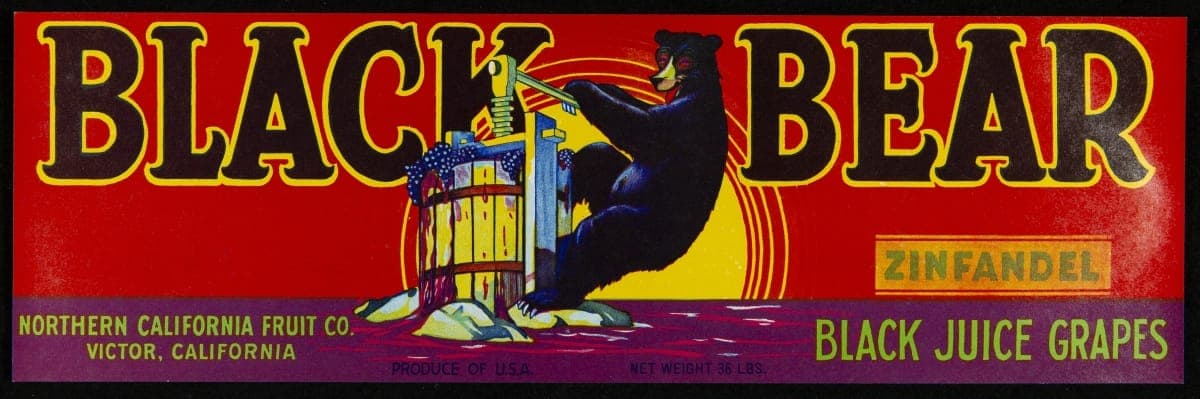 Crate Label, "Black Bear Brand Zinfandel Grapes," circa 1940