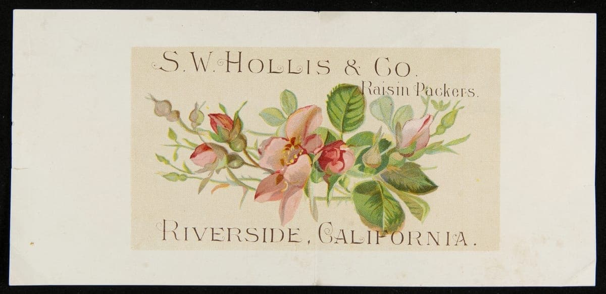 Label, "S. W. Hollis & Co. Brand Raisins," 1890-1930