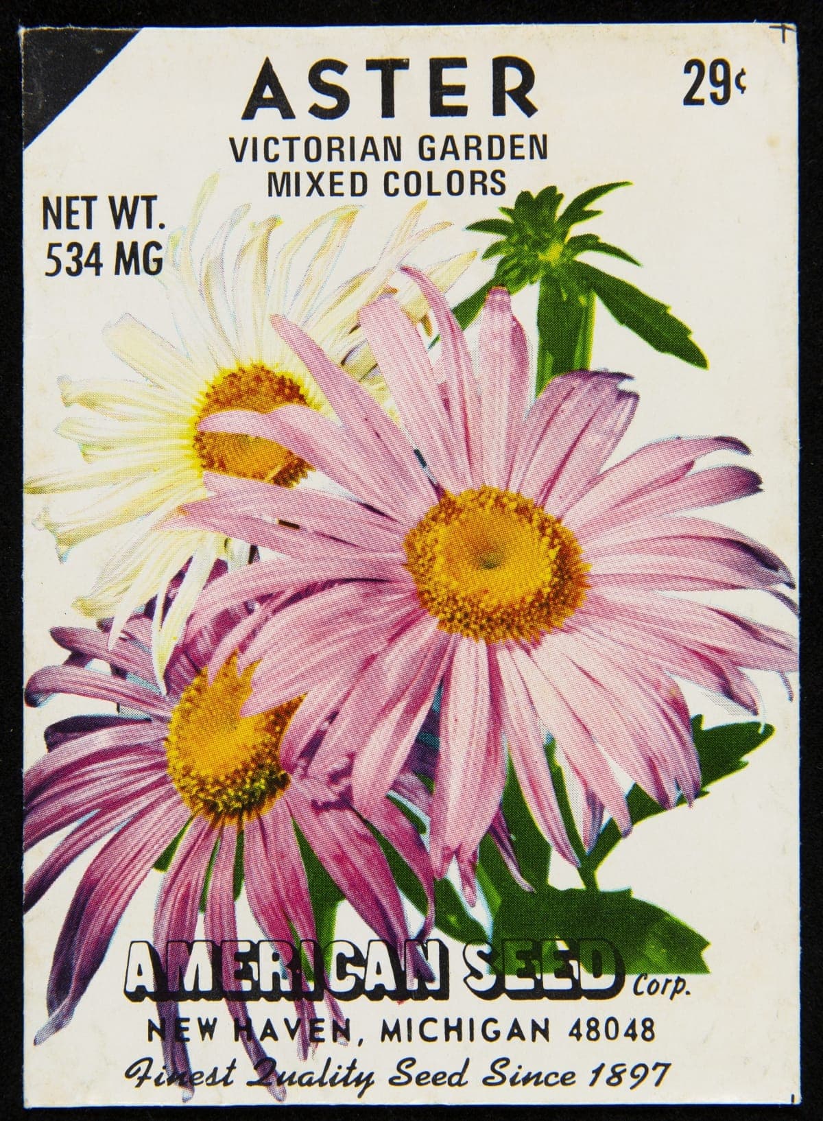 American Seed Corporation "Aster" Seed Packet, circa 1975