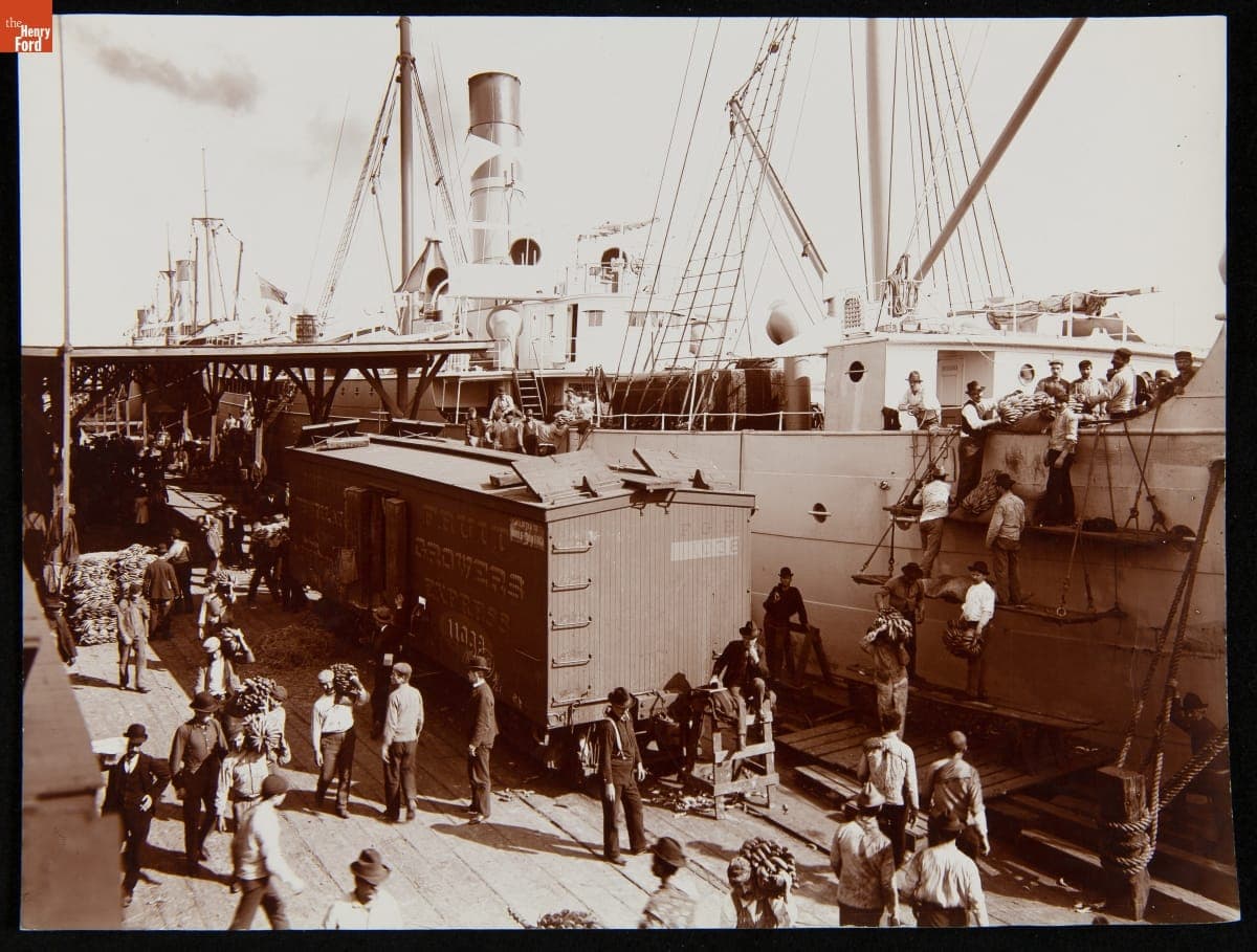 Unloading Bananas from Steamer, New Orleans, Louisiana, 1900-1910