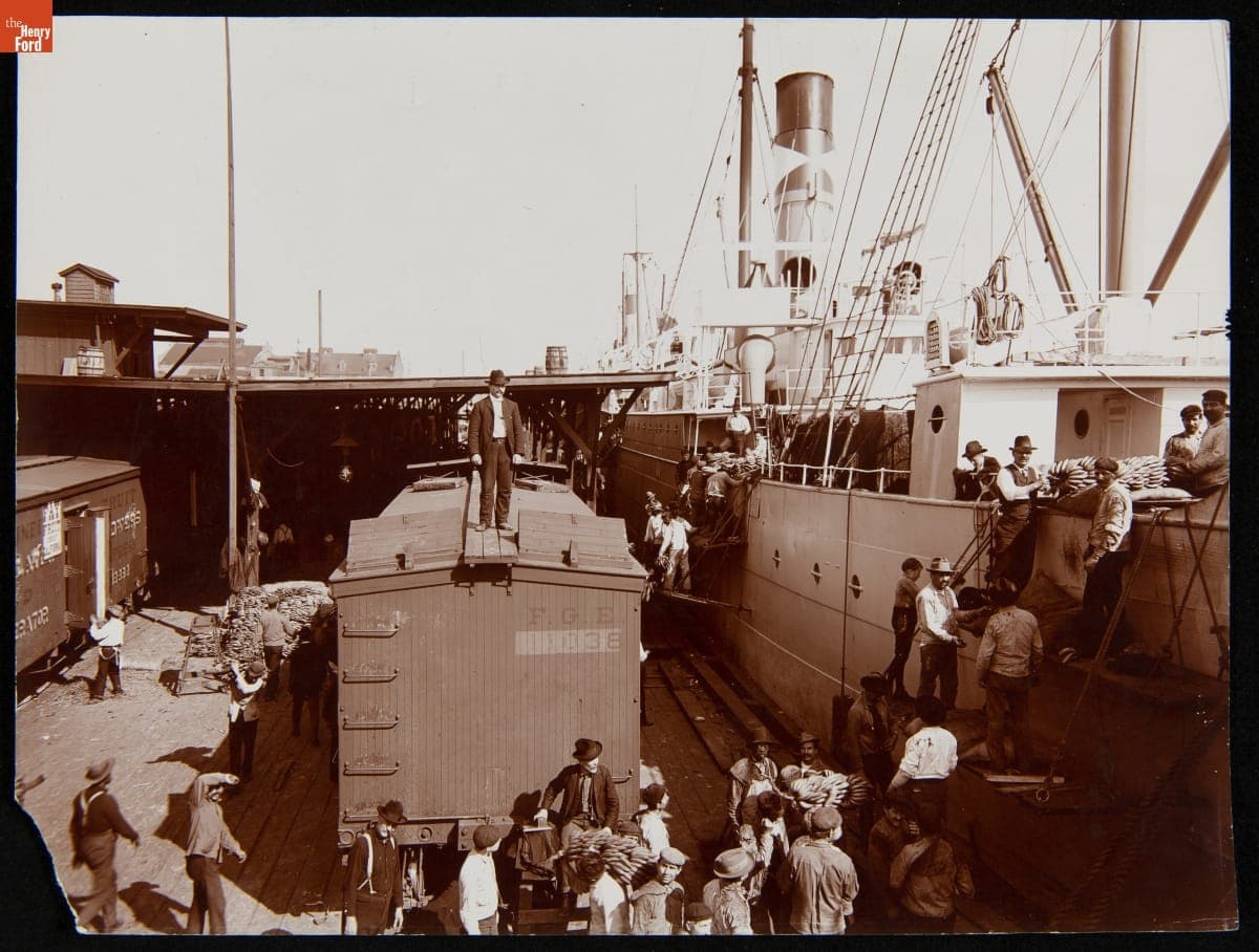 Unloading Bananas from Steamer, New Orleans, Louisiana, 1900-1910