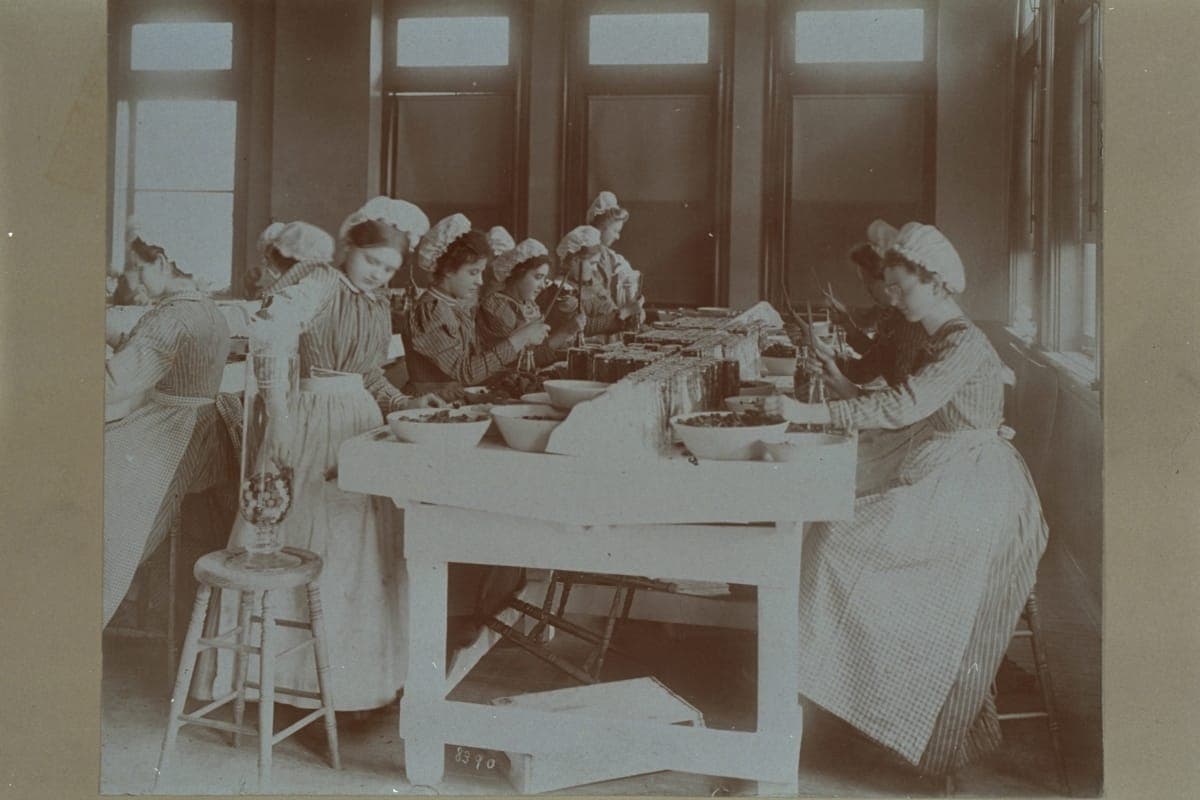 Women Workers Packing Pickles into Jars at the H.J. Heinz Factory, circa 1910