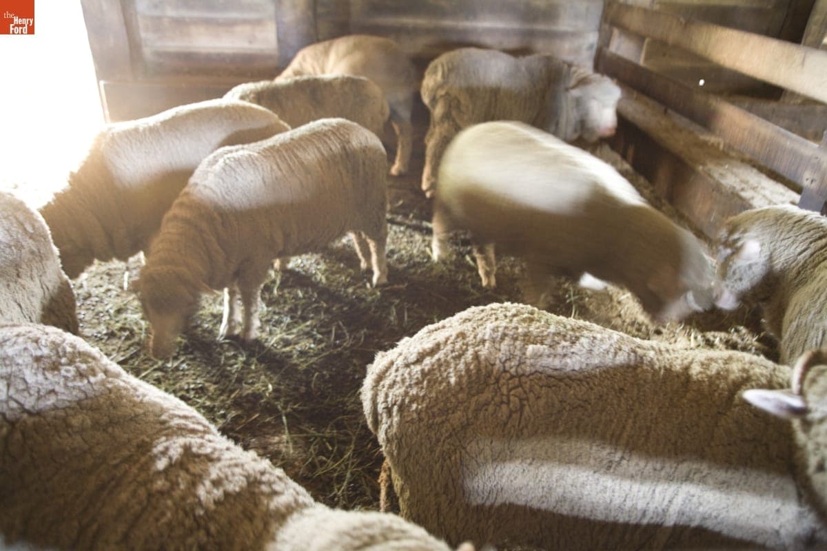Firestone Farm in Greenfield Village, September 2007