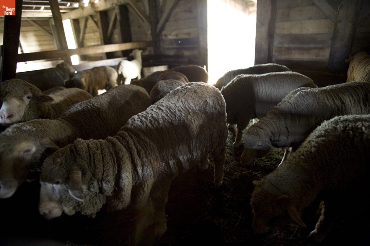 Firestone Farm in Greenfield Village, September 2007
