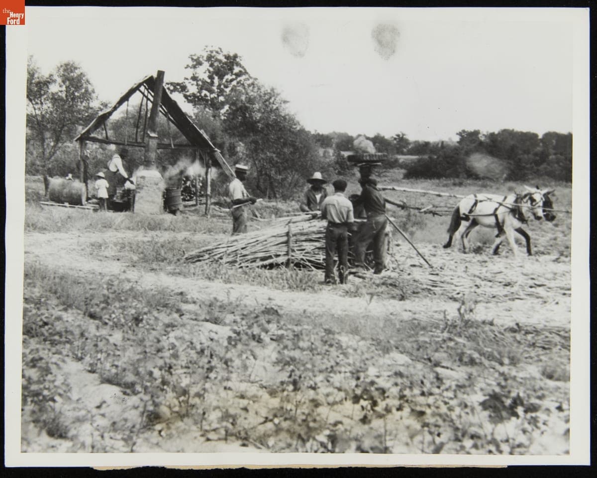 Making Sorghum Molasses near Memphis, Tennessee, September 1937