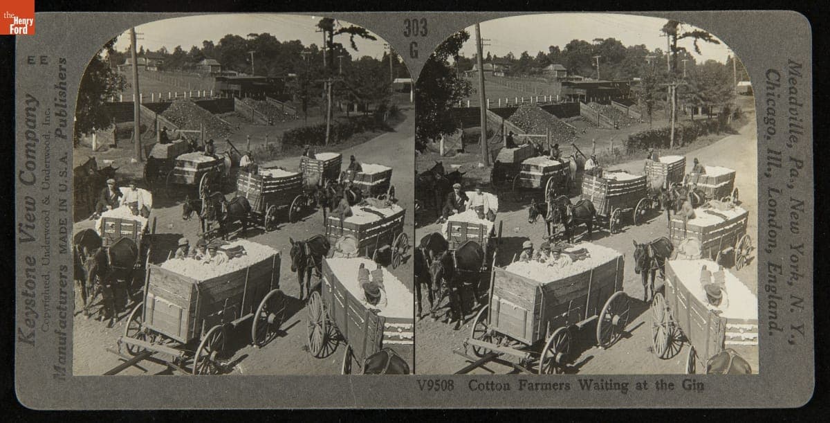 Cotton Farmers Waiting at the Gin, 1906-1922