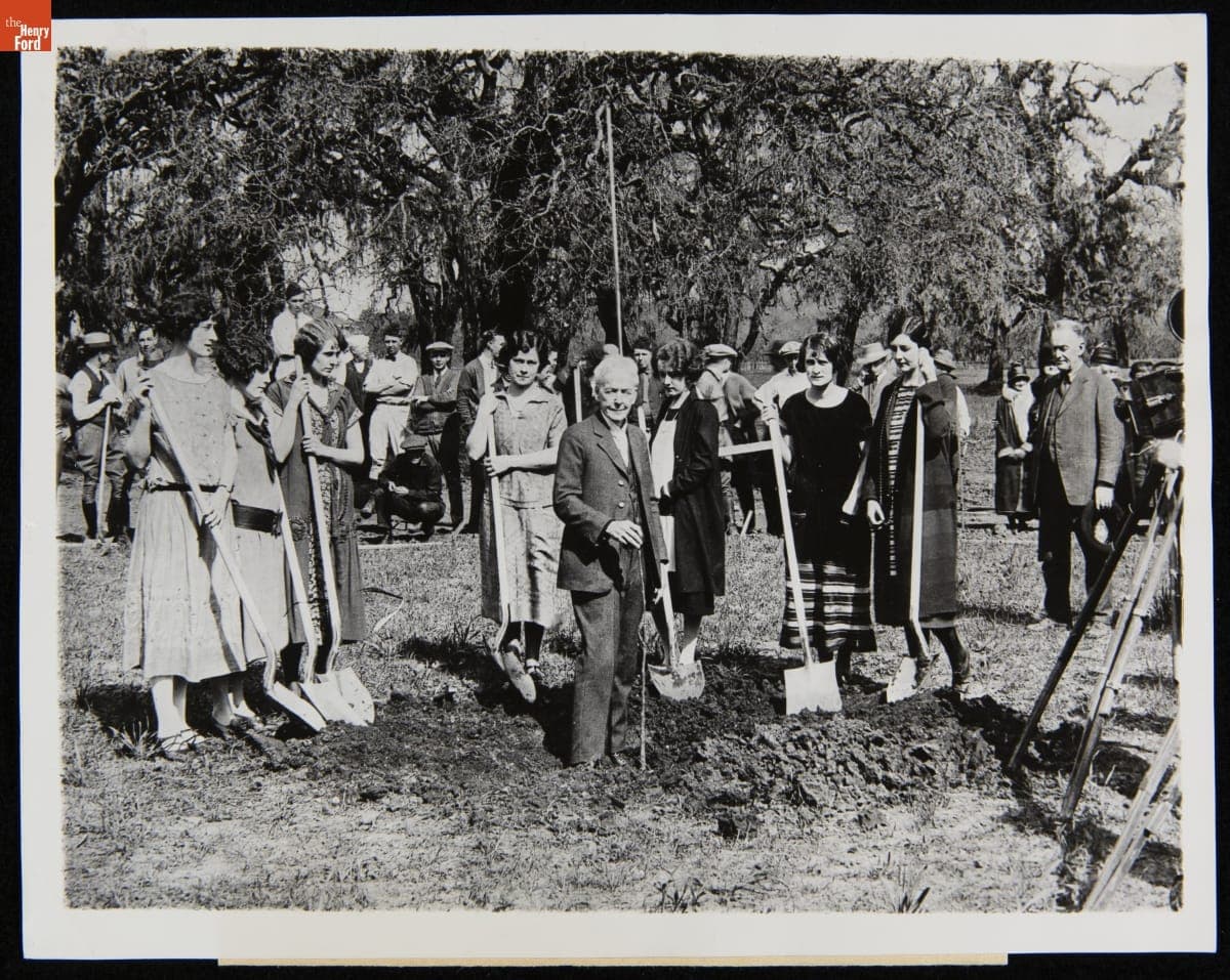 Luther Burbank Planting a "Paradox," a Type of Walnut Tree He Created, Burbank Park, Santa Rosa, California, March 1925