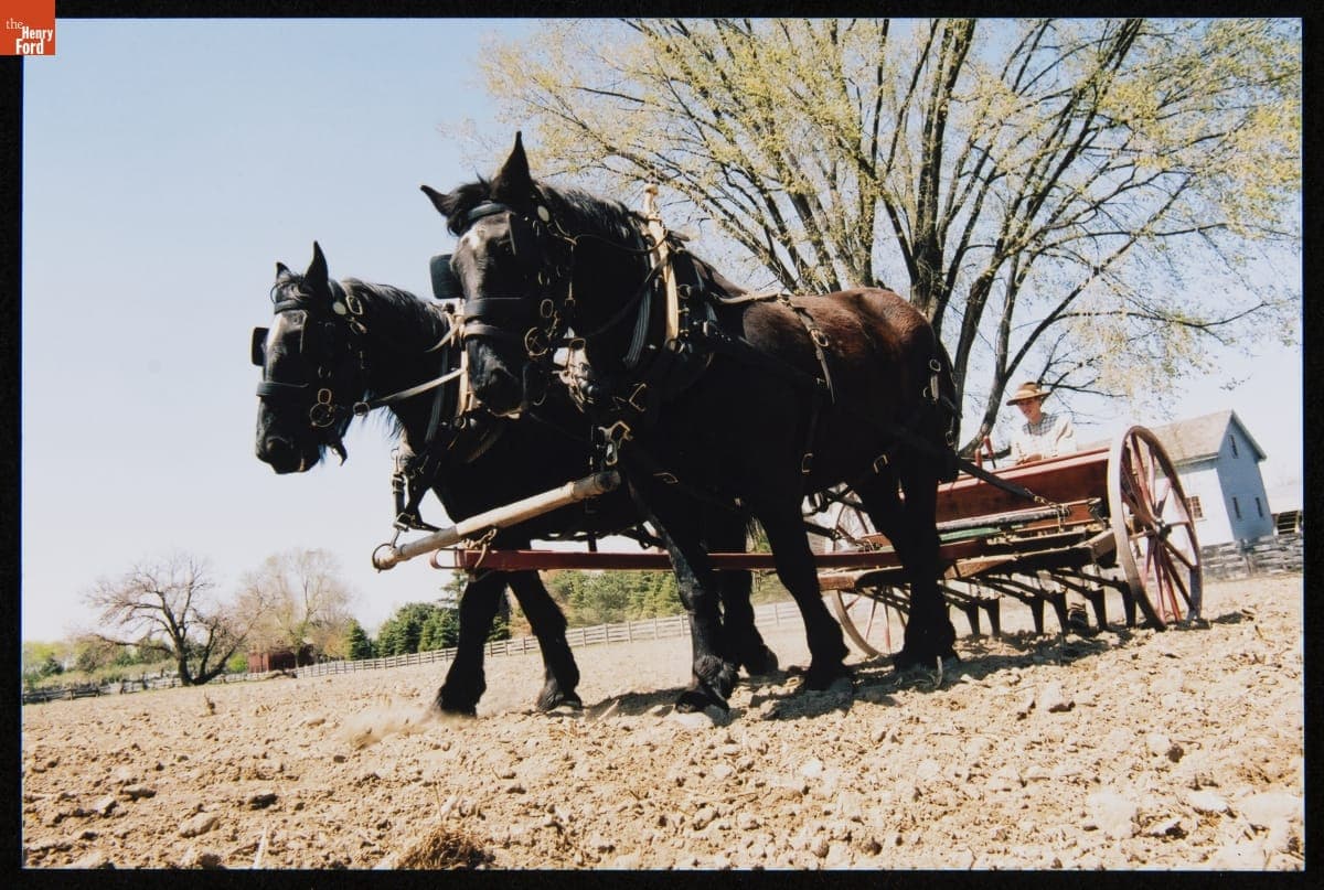 Bickford & Huffman Grain Drill at Firestone Farm in Greenfield Village, May 2005