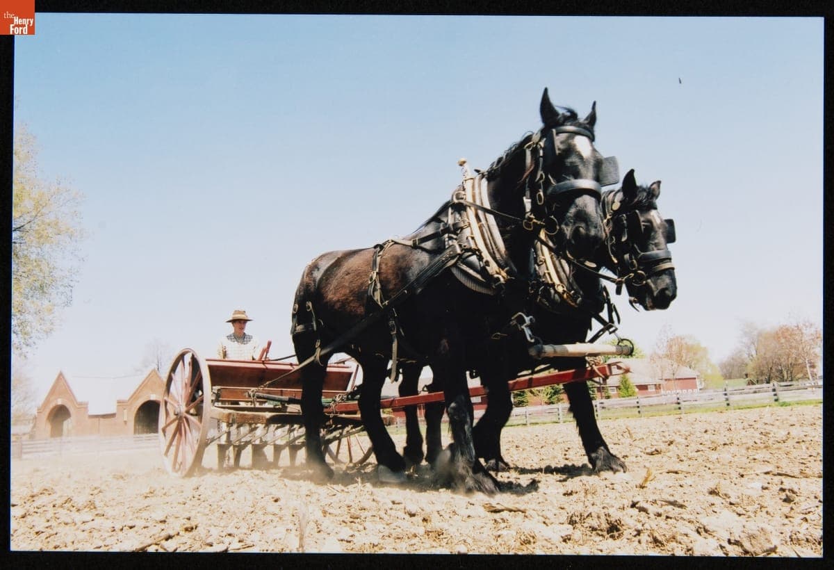 Bickford & Huffman Grain Drill at Firestone Farm in Greenfield Village, May 2005