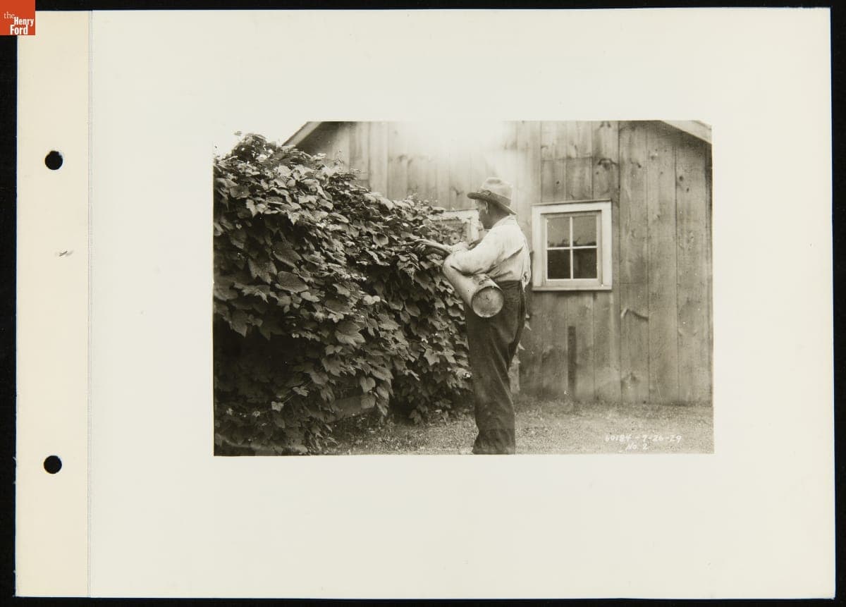 Man Spraying Garden with Ford Ammonium Sulphate Fertilizer, July 26, 1929
