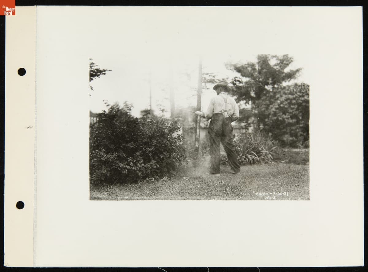 Man Spraying a Garden with Ford Ammonium Sulphate Fertilizer, July 26, 1929