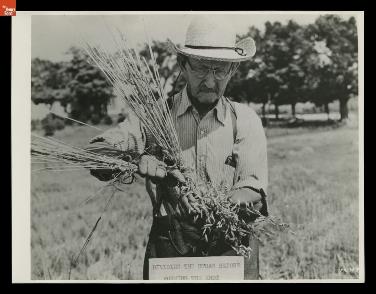 "Dividing the Straw Before Forming the Knot," H.H. Raby Harvesting Using a Grain Cradle, 1944