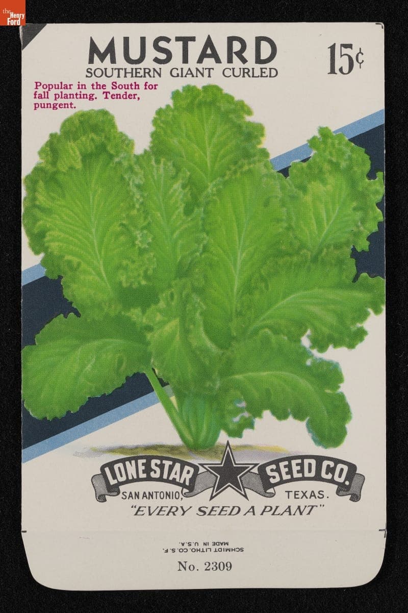 Lone Star Seed Co. "Mustard: Southern Giant Curled" Seed Packet, 1971