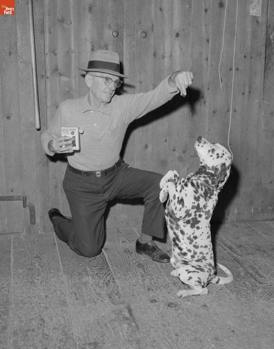 Jeff Dean with New Coach Dog Named Duke, March 7, 1959