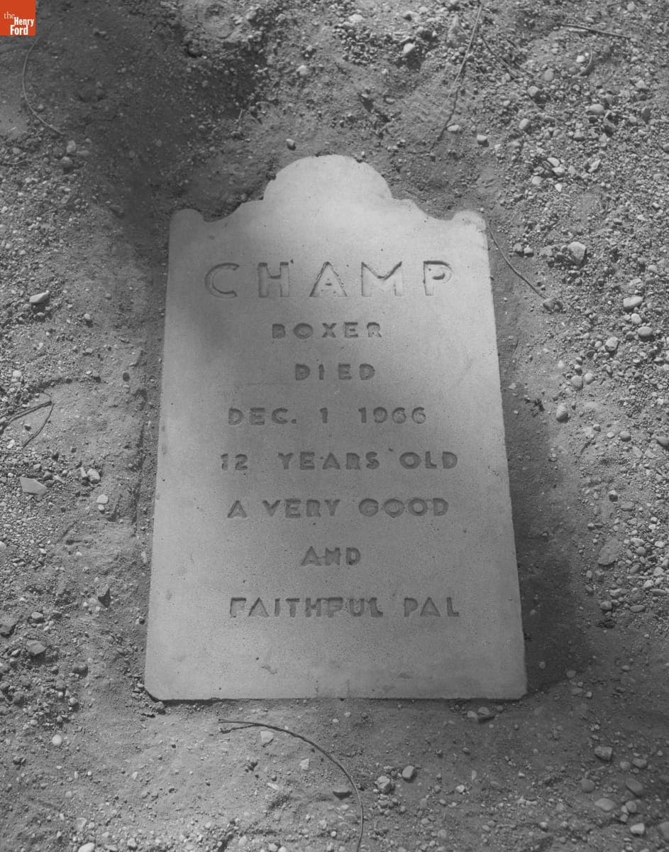 Grave of Champ, a Greenfield Village Dog, April 1977