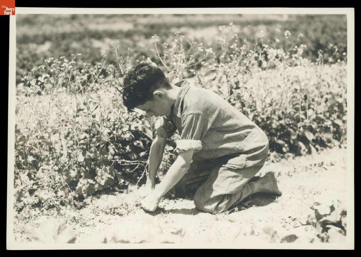 Student Working in School Garden at Willow Run School, Michigan