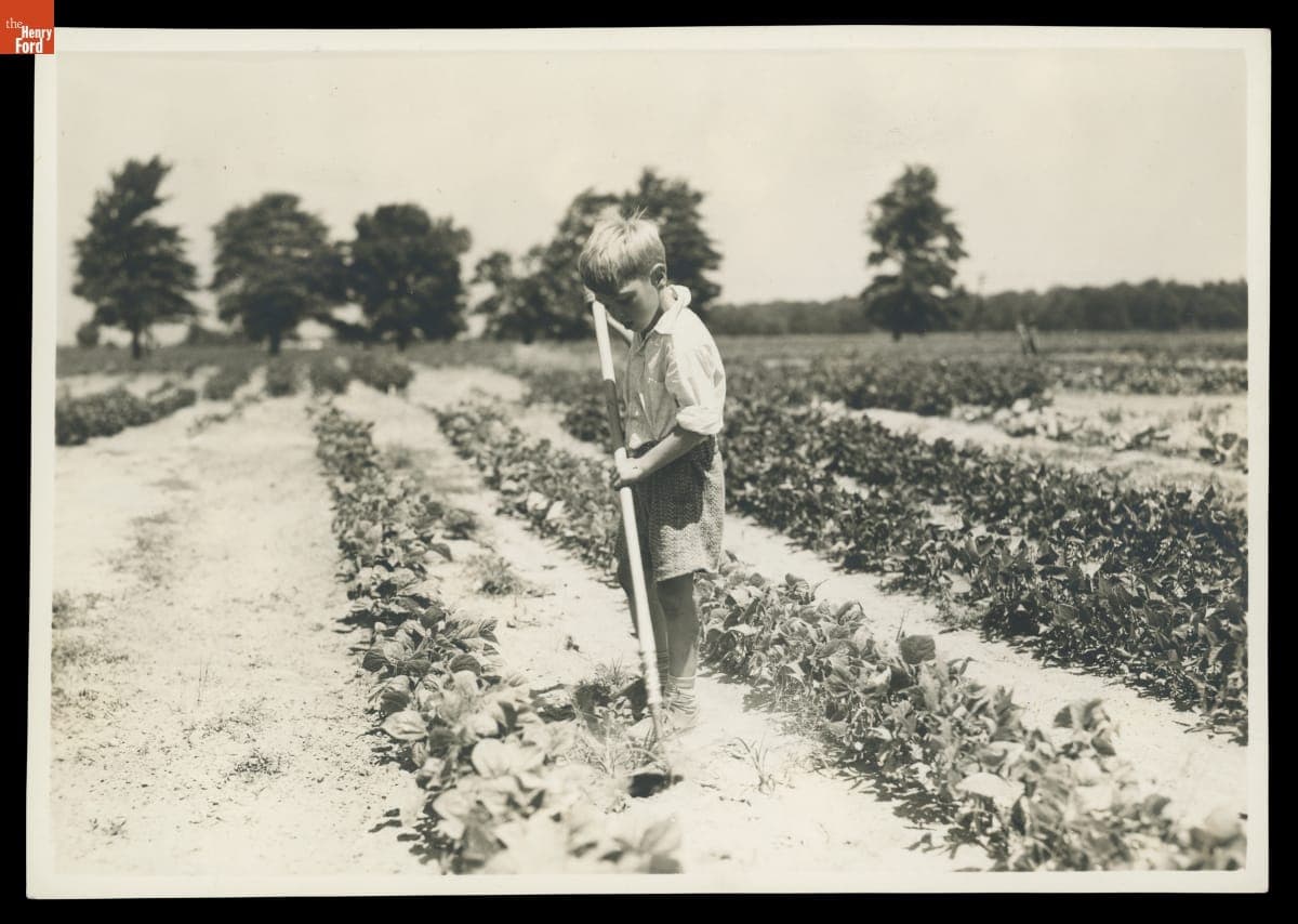 Student Working in School Garden at Willow Run School, Michigan