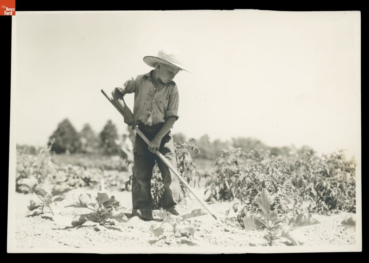 Student Working in School Garden at Willow Run School, Michigan