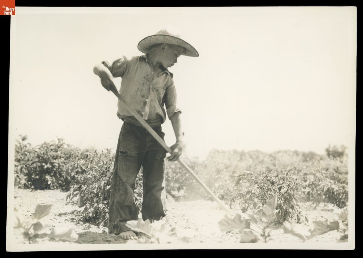 Student Working in School Garden at Willow Run School, Michigan