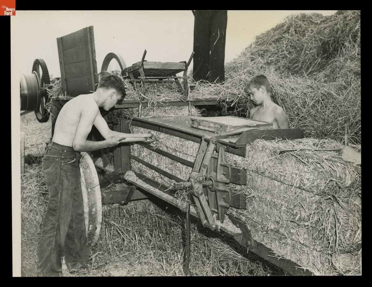 Macon (Michigan) High School Students Working on a Farm, Baling Straw after Threshing and Typing Bales, August 1943