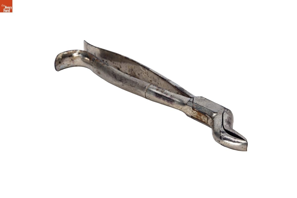 Wolf Tooth Extractor, 1901-1925