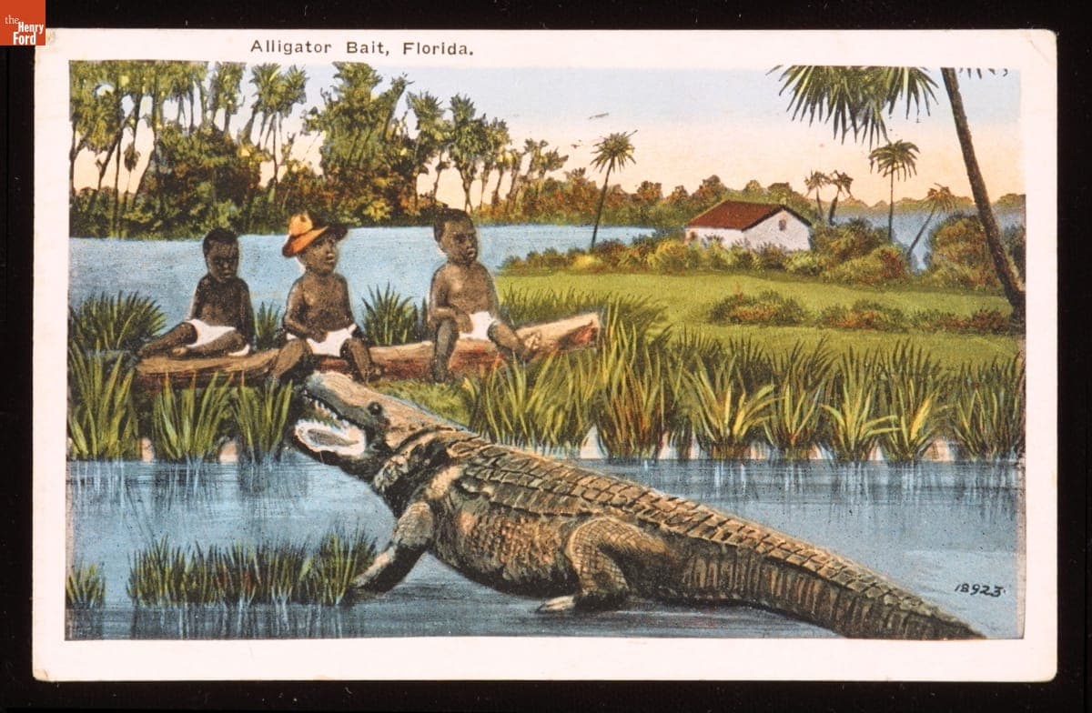 Postcard, "Alligator Bait, Florida," circa 1930
